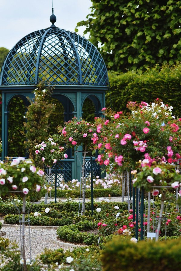 Devis d'un jardinier : comprendre l'importance du document